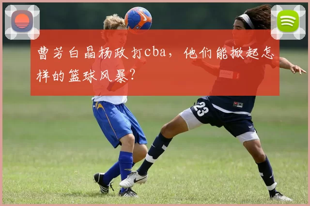 曹芳白晶杨政打cba，他们能掀起怎样的篮球风暴？