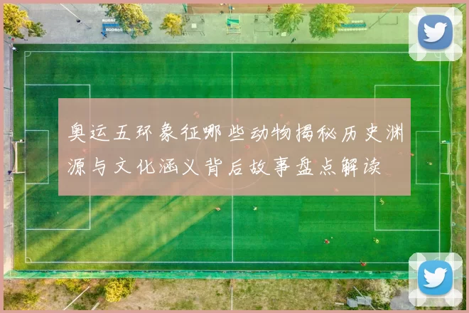 奥运五环象征哪些动物揭秘历史渊源与文化涵义背后故事盘点解读