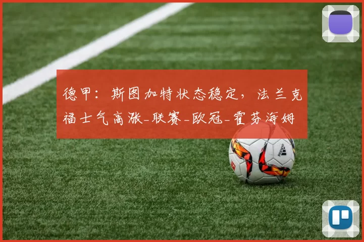 德甲:斯图加特状态稳定,法兰克福士气高涨_联赛_欧冠_霍芬海姆