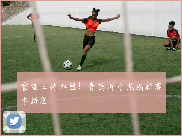 官宣三将加盟！青岛海牛完成新赛季拼图