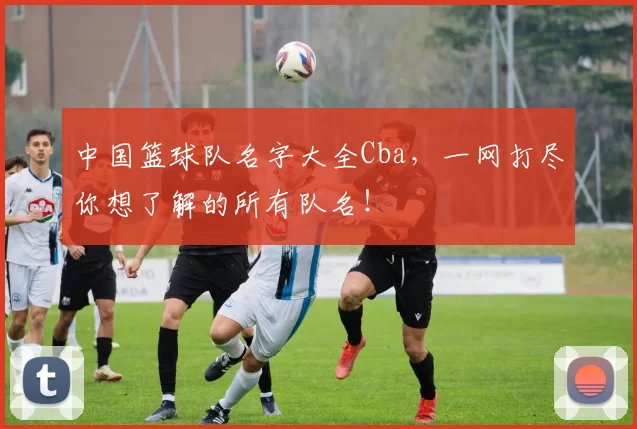 中国篮球队名字大全Cba，一网打尽你想了解的所有队名！